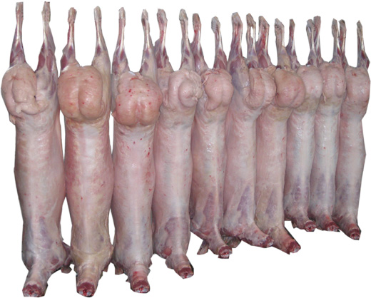 Frozen Lamb Carcasses