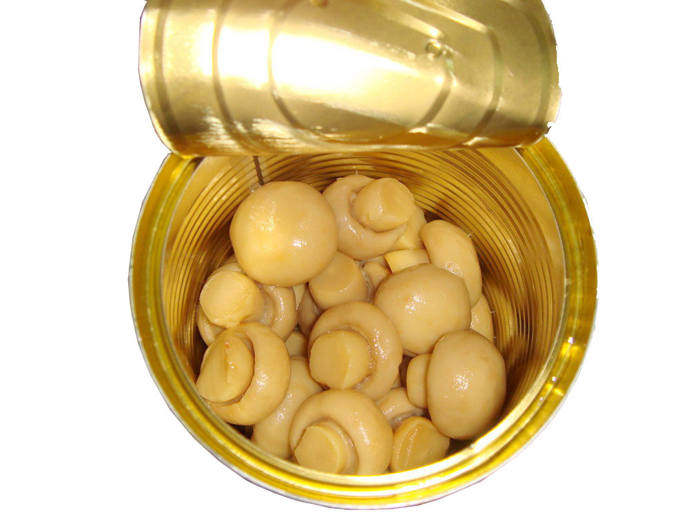 Canned Mushroom